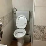 Xenia Renting *