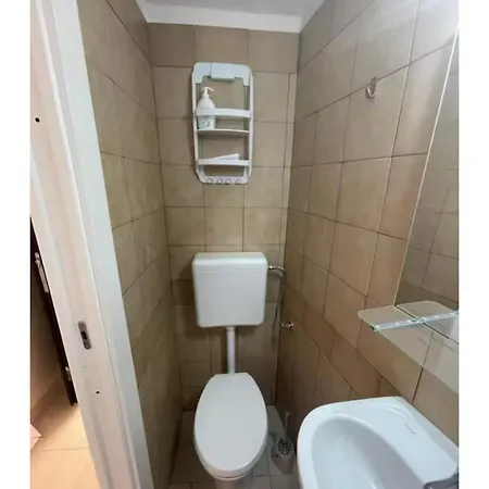 Xenia Renting *