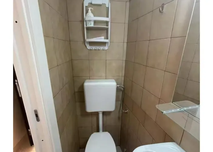 Xenia Renting *
